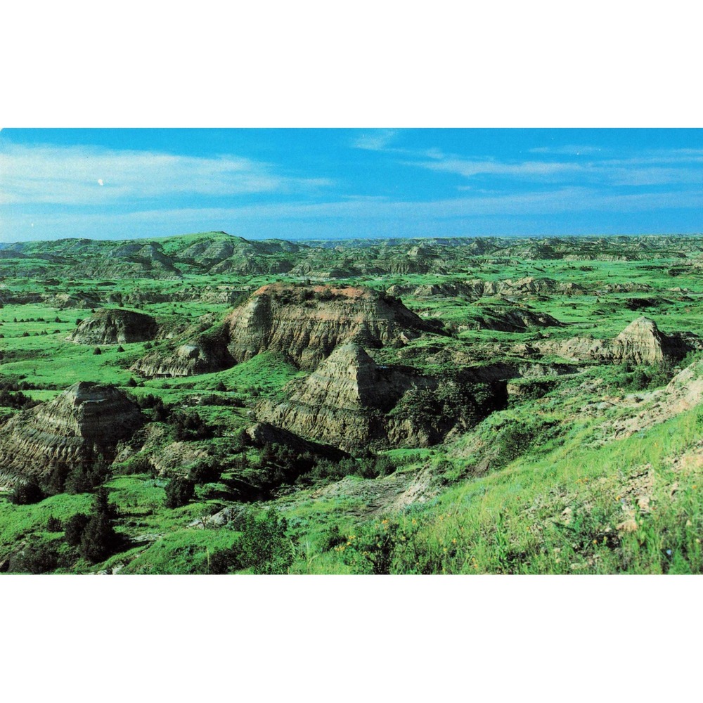 Theodore Roosevelt National Park Badlands North Dakota ND Chrome Postcard C34175